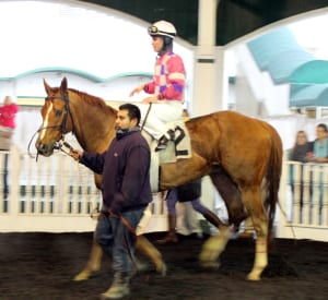 Eighttofasttocatch in the paddock after winning Saturday's Jennings. Photo by Laurie Asseo.