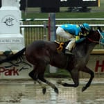 RaceBrief: Horses we watched this weekend