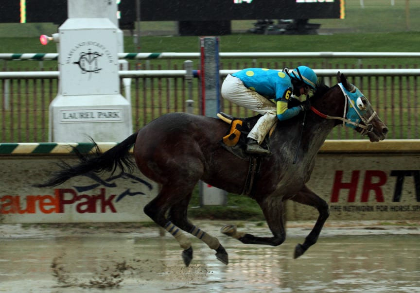 Laurel Park stakes slated for Thursday