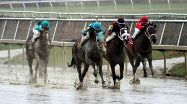 mud-8226