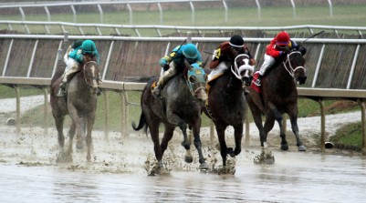 mud-8226