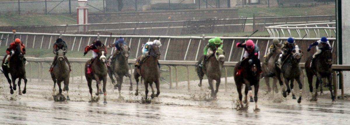 Laurel Park stakes gallery