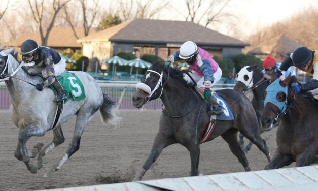 Thrillers in last two Parx Racing stakes of ’14