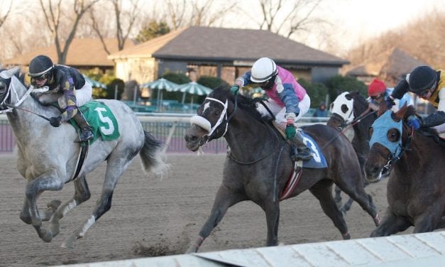 For jockey Tammi Piermarini, a new, settled chapter