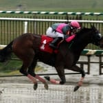 Eighttofasttocatch goes out a millionaire with Jennings win