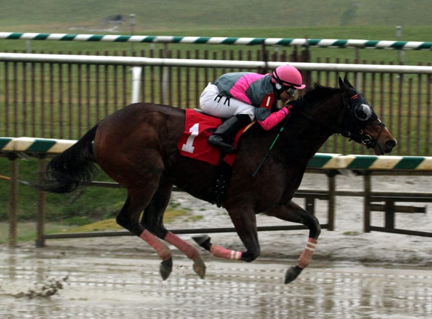 Full fields entered for Laurel Park stakes