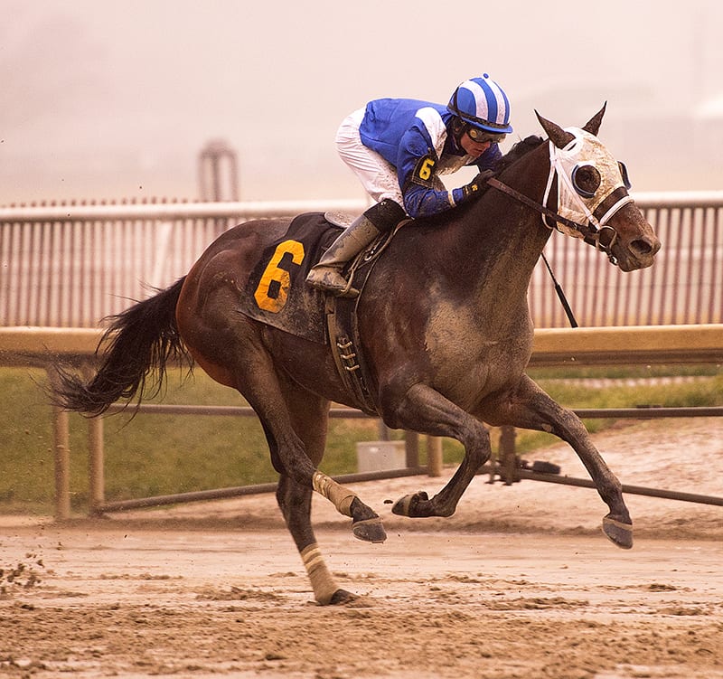 Elnaawi burst through the fog to win decisively in the Native Dancer Stakes at Laurel Park. Photo by Jim McCue, Maryland Jockey Club.