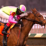 Majestic Affair romps in Whiteley