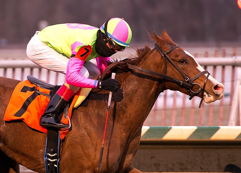 Lindisfarne and Victor Carrasco proved best in today's Marshua Stakes.