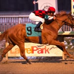 Small and speedy, Majestic Affair has big potential