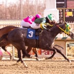 Stallion season auction to benefit NJ breeders