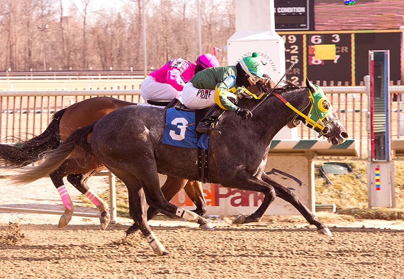 Cutty Shark returns to action at Laurel Park