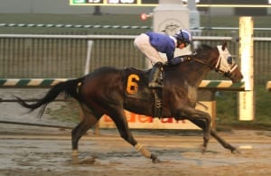 Elnaawi and Sheldon Russell run to victory in the Native Dancer Stakes. Photo by Laurie Asseo.