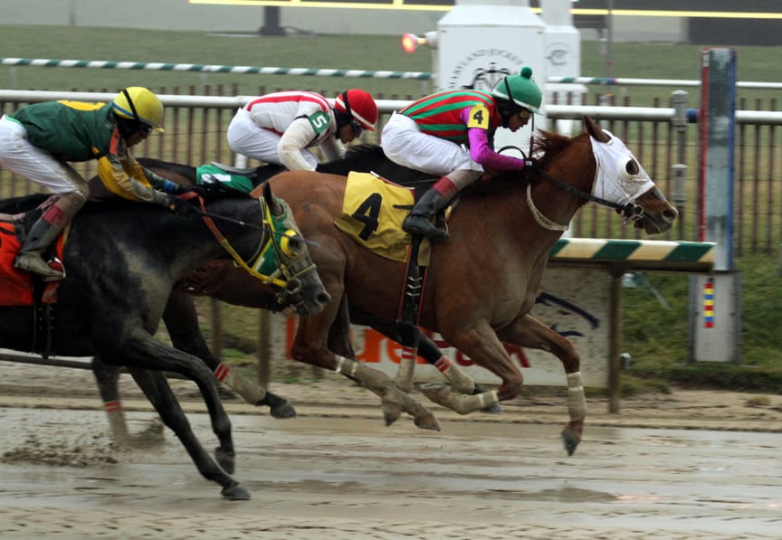 Never Stop Looking, in between (#4), is up late to win the Fire Plug Stakes. Photo by Laurie Asseo.