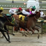 $2 million on the line in NHC handicapping championship