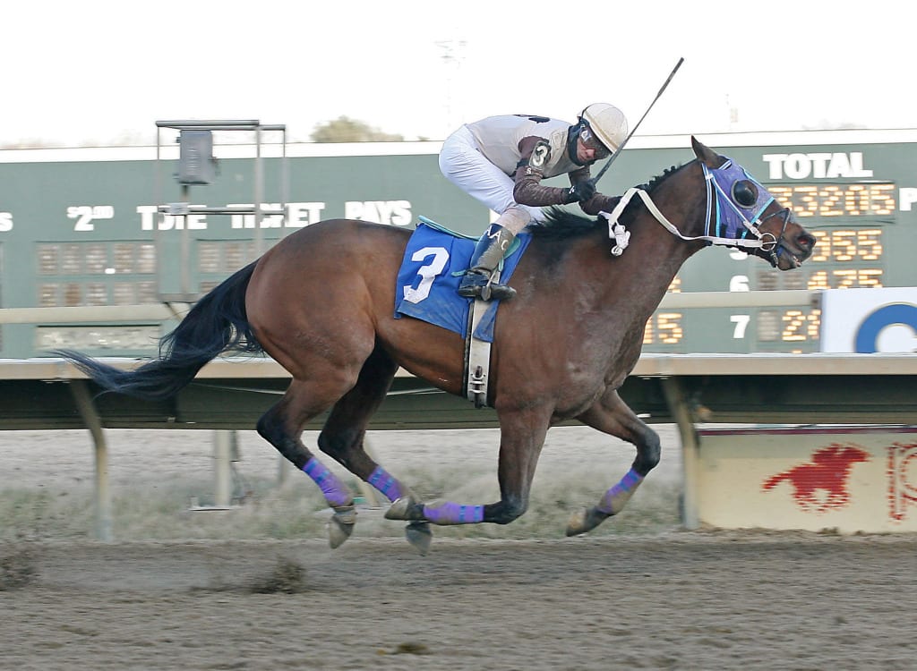 Rienzi sets the Parx Racing one-mile track record. Photo by Equiphoto.