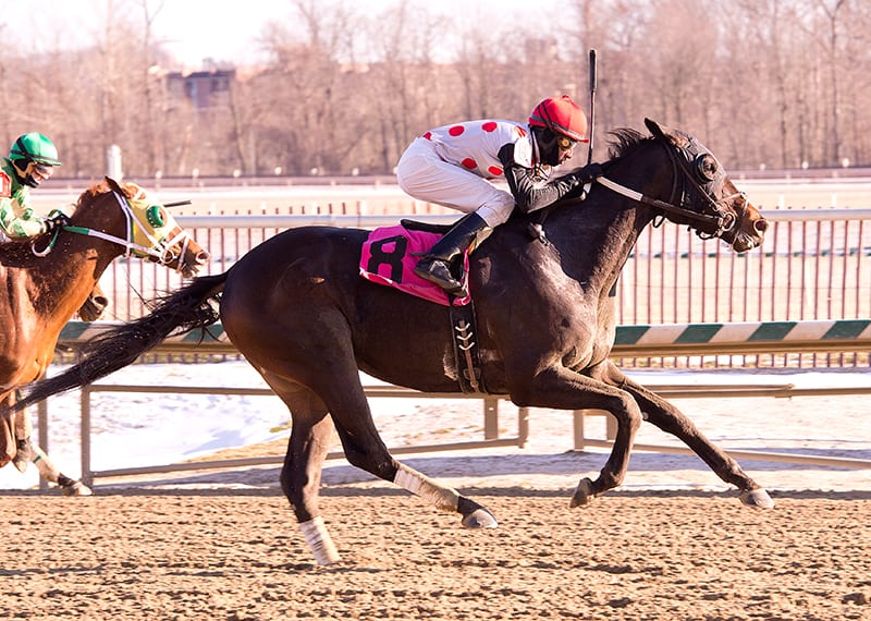 Testy field will line up in John B. Campbell