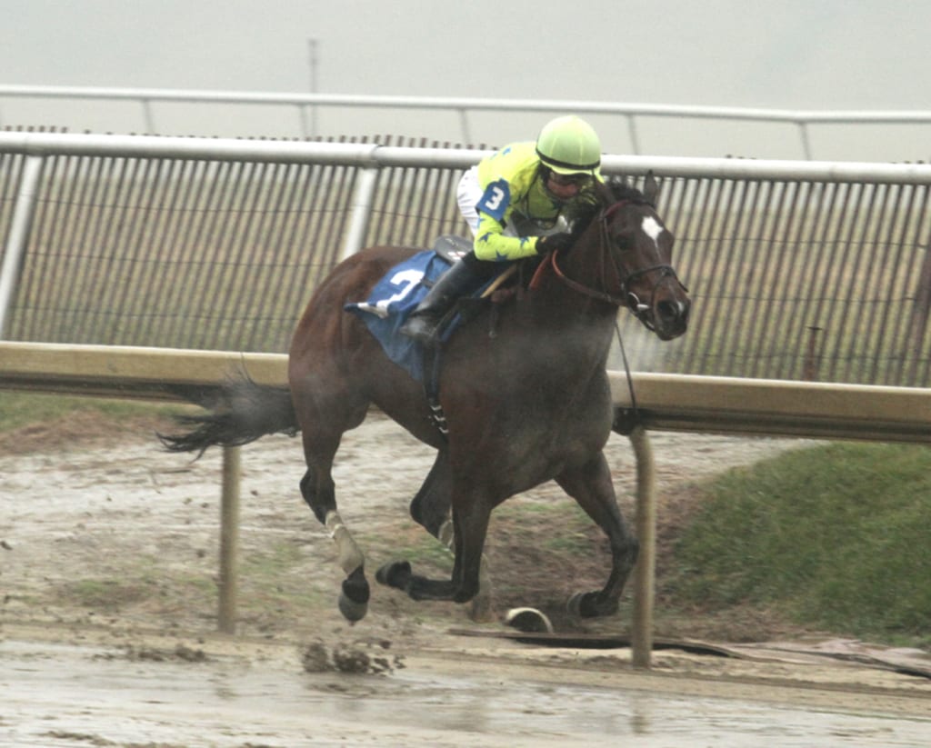 Star Pearl, with Sheldon Russell up, steams home to win the Nellie Morse Stakes. Photo by Laurie Asseo.