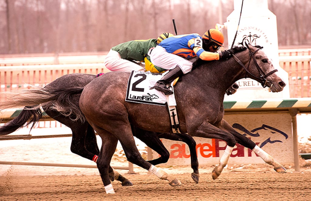 Misconnect was up in time to defeat Cutty Shark and take the Grade 3 General George today. Photo by Jim McCue, Maryland Jockey Club.