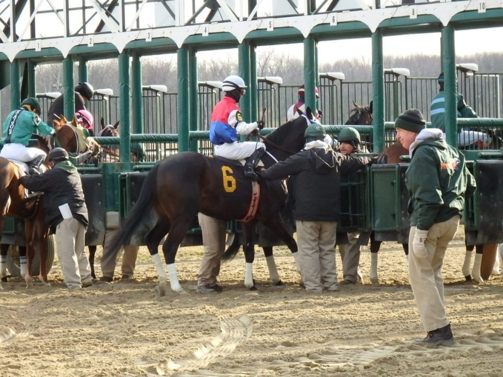 At the starting gate. Photo by The Racing Biz.