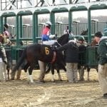 Connie Winn named ARCI parimutuel auditors committee chair