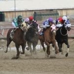 One shot at Delaware Park