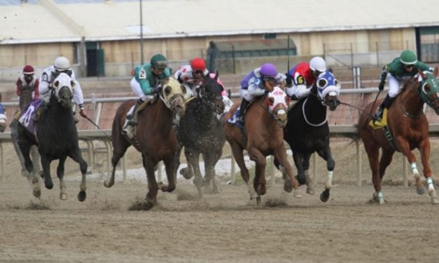 Laurel Park to guarantee $100,000 Pick 5 pool