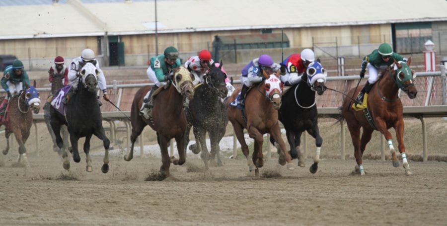 Laurel Park to guarantee $100,000 Pick 5 pool