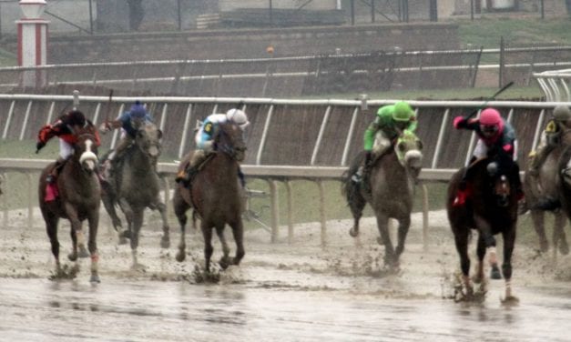 Laurel Park cancels half of Friday card