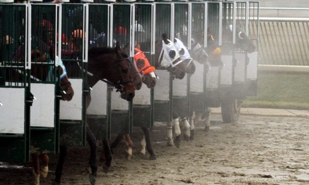 Racetrack vets call for equine safety enhancements