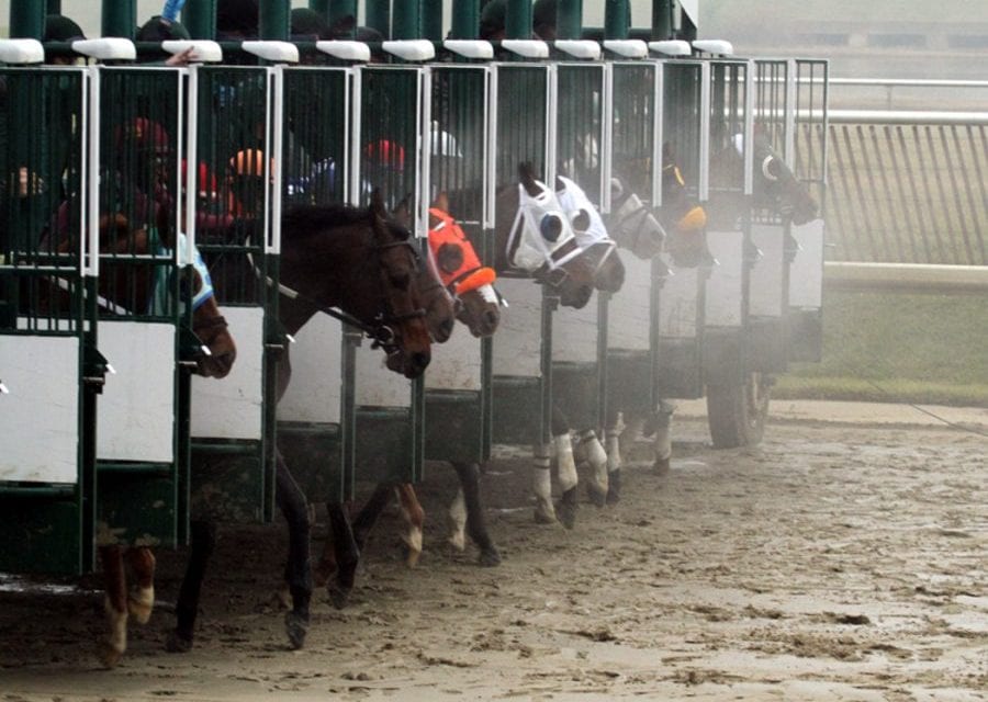 The GQ Approach: Laurel Park February 16