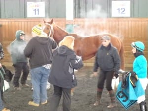 It was cold, but Gypsy Judy was hot in the Wide Country. Photo by The Racing Biz.