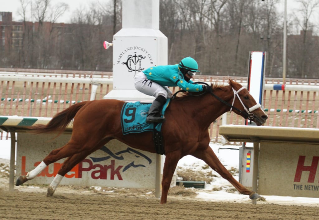 Gypsy Judy rolled to victory in today's Wide Country. Photo by Laurie Asseo.