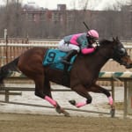 Ageless Ben’s Cat guns for third straight McKay victory