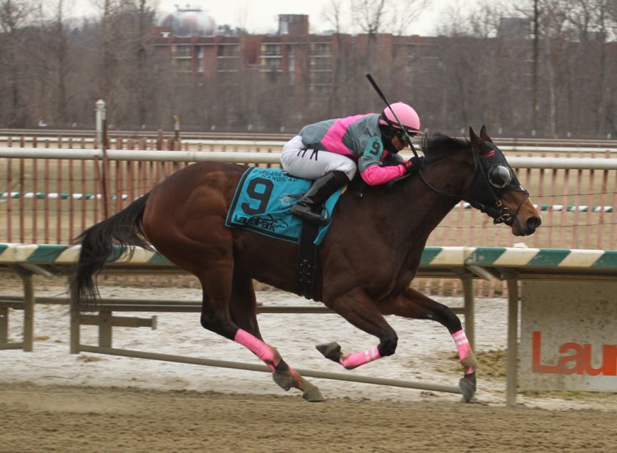 Lady Sabelia showed 'em her heels in the G2 Barbara Fritchie Handicap. Photo by Laurie Asseo.