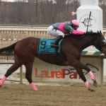 Top distaffers square off in Laurel Saturday feature