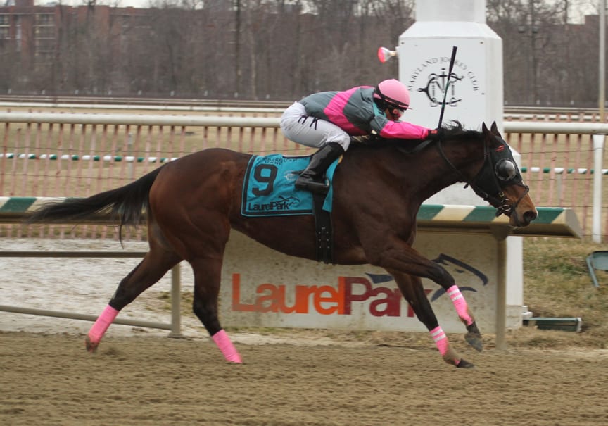 Lady Sabelia showed 'em her heels in the G2 Barbara Fritchie Handicap. Photo by Laurie Asseo.