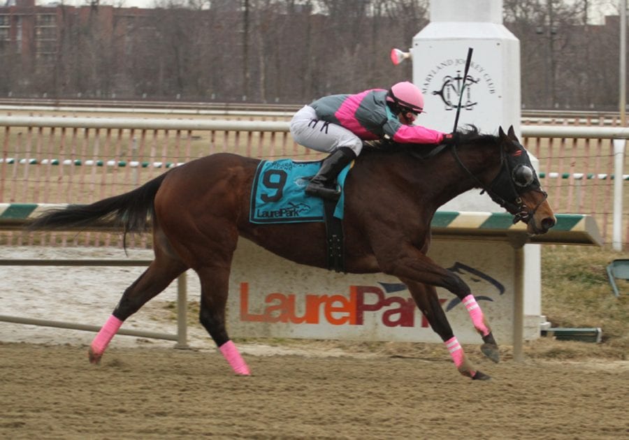 Three questions: Laurel Park Saturday stakes