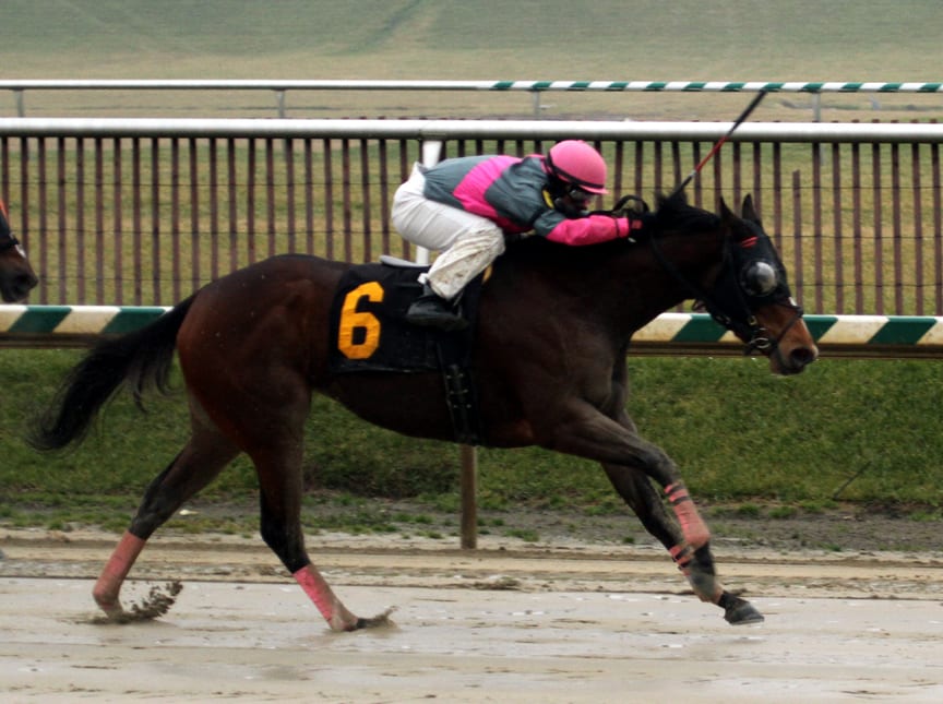 Lady Sabelia rolled to her third straight win in the What a Summer at Laurel in January. Photo by Laurie Asseo.