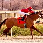 Featured in the March Mid-Atlantic Throughbred