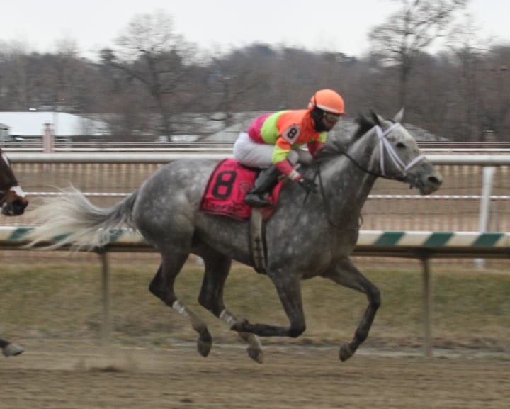 Lunar Surge took the short way home to win today's Maryland Racing Media Stakes. Photo by Laurie Asseo.