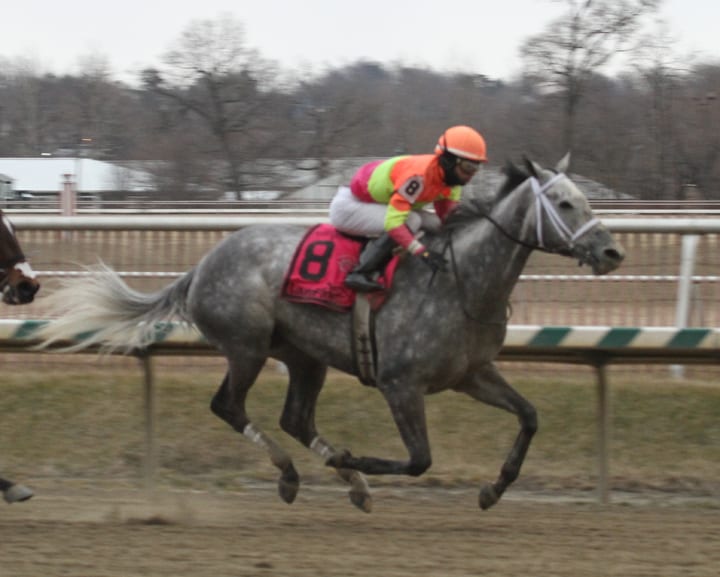 Lunar Surge rides rail to Racing Media victory