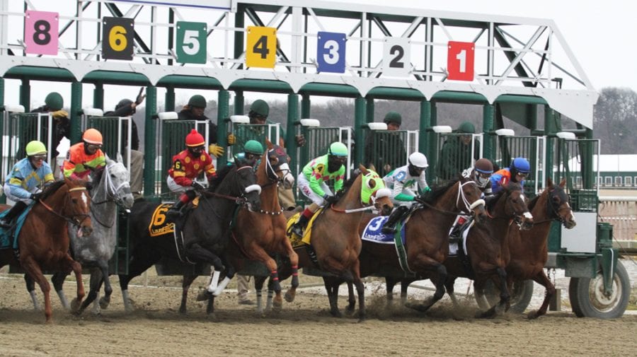 Laurel Park posts daily average handle rise