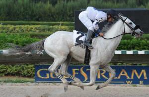 Mr. Jordan. Photo courtesy of Gulfstream Park.