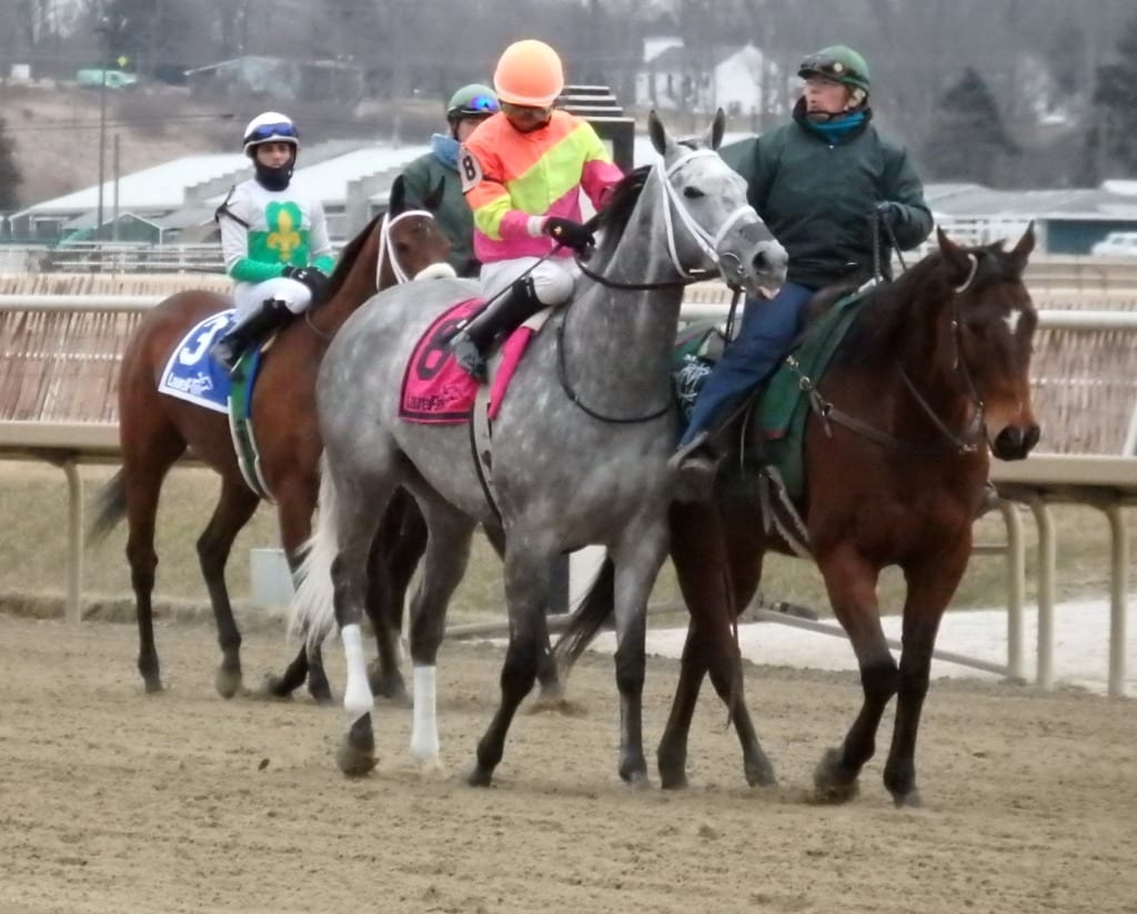 The cold weather makes life harder on the outriders, and their ponies. Photo by The Racing Biz.