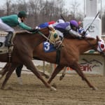 Lady Sabelia romps to Fritchie victory