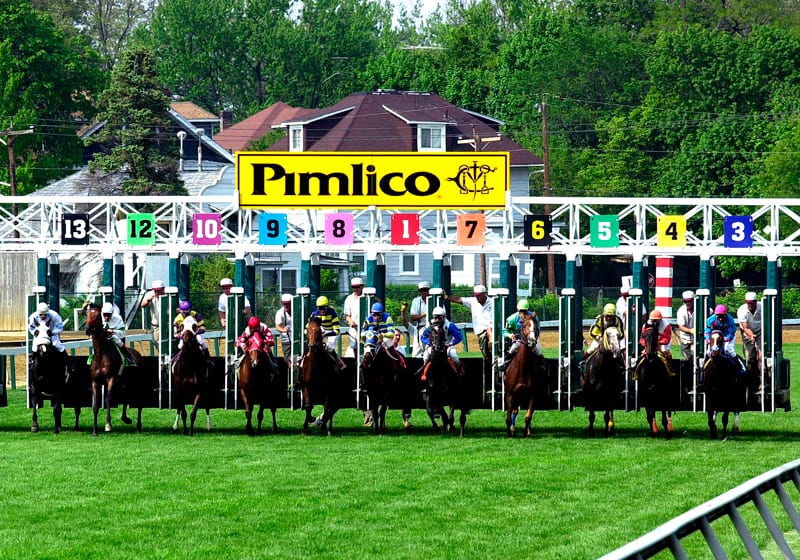 They'll be off at Pimlico on April 2 for the spring stand. Photo by Jim McCue, Maryland Jockey Club.