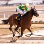Gabby Gaudet’s longshots and exotic plays for March 21