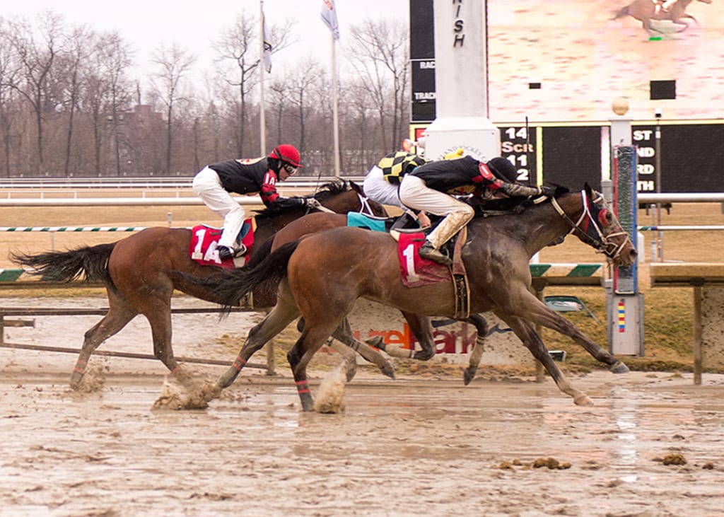 Golden Glint was along in time today to give Trevor McCarthy his first win of the year. Photo by Jim McCue, Maryland Jockey Club.