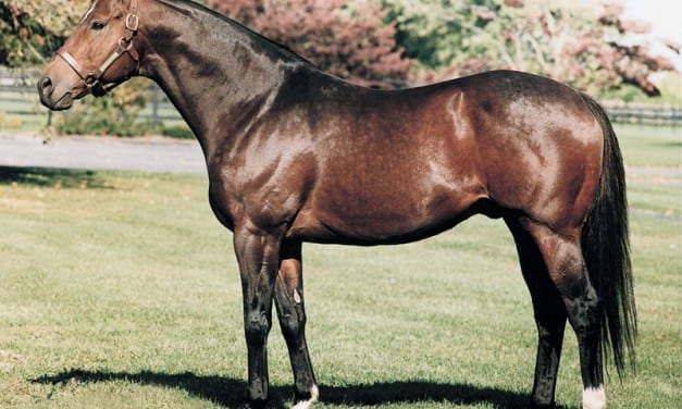 Top Maryland sire Not for Love dies